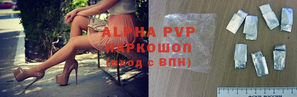 сатива Абинск