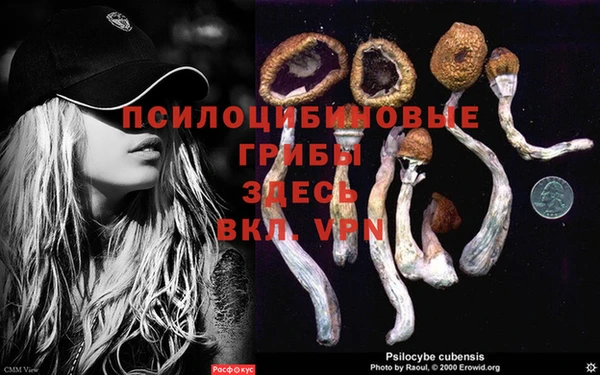jwh Протвино