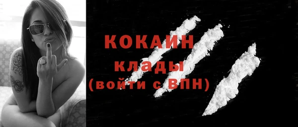 сатива Абинск