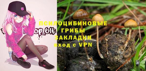 сатива Абинск