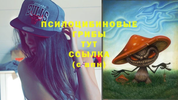 сатива Абинск