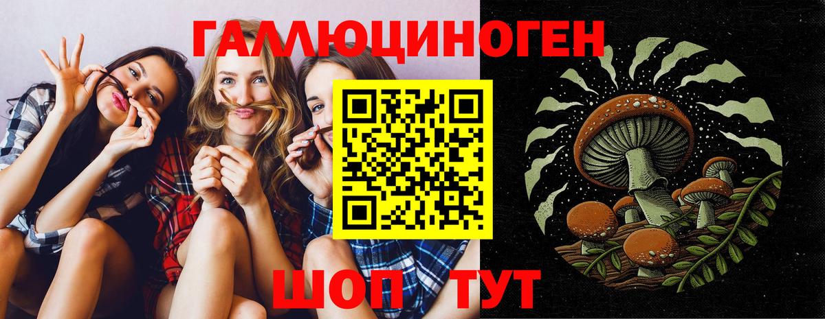 Галлюциногенные грибы Cubensis  Вход с VPN  Костомукша 